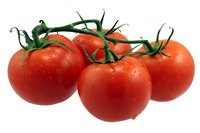 Tomato1